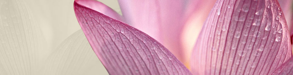 baner 01